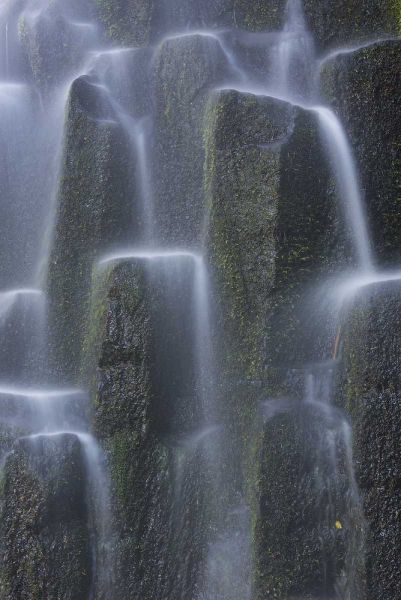 Oregon, Proxy Falls Waterfalls over basalt